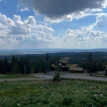 Dom wakacyjny Moderne Sjusjoen