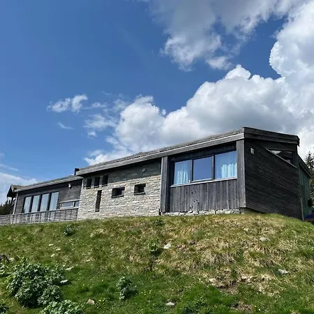 Moderne Sjusjoen
